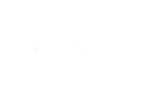 LOGO -SOLISTICA LOG